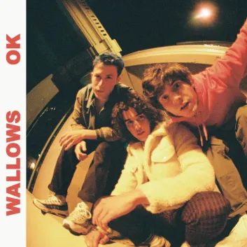 How Much is the Song OK by Wallows Worth? Royalty & Value Breakdown