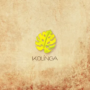 How Much is the Song Time by Kolinga Worth? Royalty & Value Breakdown