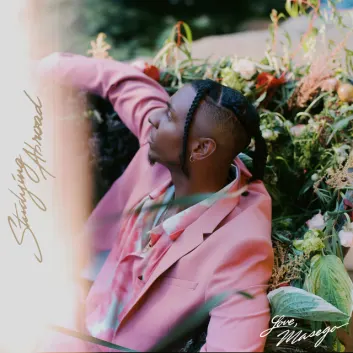 How Much is the Song Mystery Lady (feat. Don Toliver) by Masego Worth? Royalty & Value Breakdown