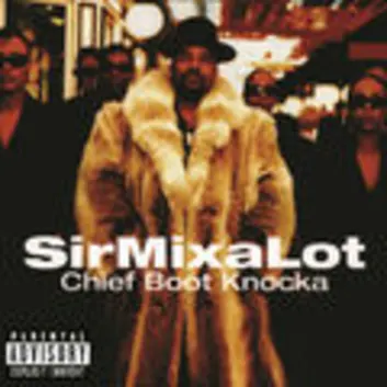 How Much is the Song Don't Call Me Da Da by Sir Mix-A-Lot Worth? Royalty & Value Breakdown