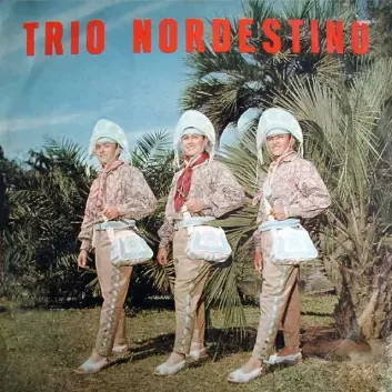 How Much is the Song O Canto do Passarinho by Trio Nordestino Worth? Royalty & Value Breakdown