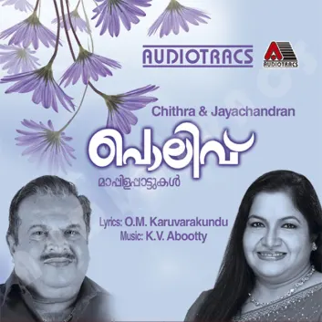 How Much is the Song Nanichu Makkana by K. S. Chithra Worth? Royalty & Value Breakdown