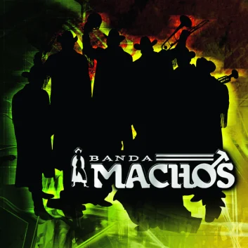 How Much is the Song Arremángala Arrempújala by Banda Machos Worth? Royalty & Value Breakdown