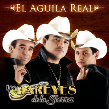 How Much is the Song Las Adulaciones by Los Dareyes De La Sierra Worth? Royalty & Value Breakdown