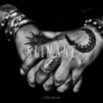 How Much is the Song J'en suis là by Slimane Worth? Royalty & Value Breakdown