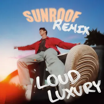 How Much is the Song Sunroof - Loud Luxury Remix by Nicky Youre Worth? Royalty & Value Breakdown