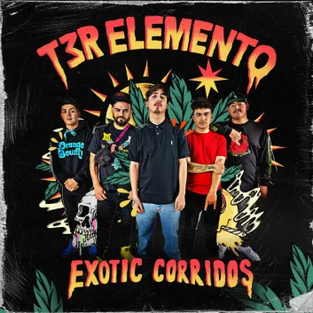How Much is the Song 6 Meses de Vida by T3R Elemento Worth? Royalty & Value Breakdown