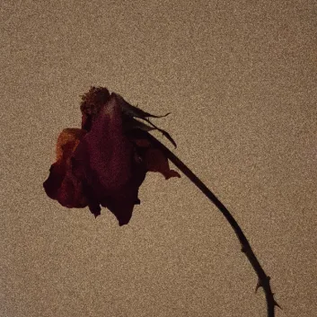 How Much is the Song i'm just a loser by Hinshi Worth? Royalty & Value Breakdown