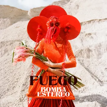 How Much is the Song Amor Amor by Bomba Estéreo Worth? Royalty & Value Breakdown