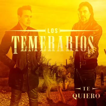 How Much is the Song Derrotado y Sin Cariño by Los Temerarios Worth? Royalty & Value Breakdown