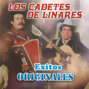 How Much is the Song No Le Digas by Los Cadetes De Linares Worth? Royalty & Value Breakdown