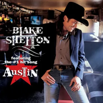 How Much is the Song Problems At Home by Blake Shelton Worth? Royalty & Value Breakdown
