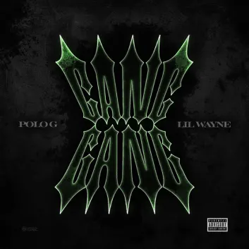 How Much is the Song GANG GANG (with Lil Wayne) by Polo G Worth? Royalty & Value Breakdown