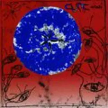 How Much is the Song Trust by The Cure Worth? Royalty & Value Breakdown