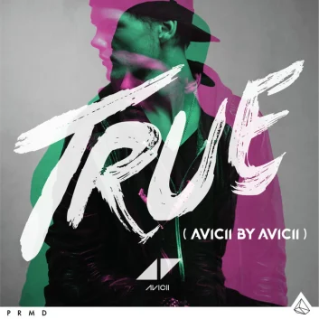 How Much is the Song Lay Me Down - Avicii By Avicii by Avicii Worth? Royalty & Value Breakdown