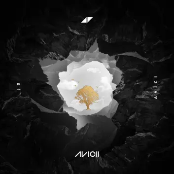 How Much is the Song Lonely Together (feat. Rita Ora) by Avicii Worth? Royalty & Value Breakdown