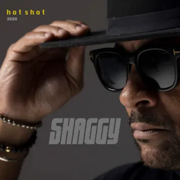 How Much is the Song Under the Sea (Hot Shot 2020) by Shaggy Worth? Royalty & Value Breakdown