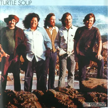 How Much is the Song The Owl (From Chalon Road) by The Turtles Worth? Royalty & Value Breakdown