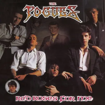 How Much is the Song The Wild Rover by The Pogues Worth? Royalty & Value Breakdown