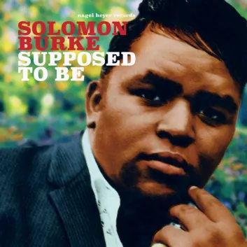 How Much is the Song Leave My Kitten Alone by Solomon Burke Worth? Royalty & Value Breakdown