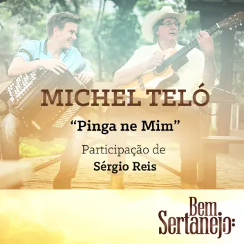 How Much is the Song Pinga Ne Mim by Michel Teló Worth? Royalty & Value Breakdown