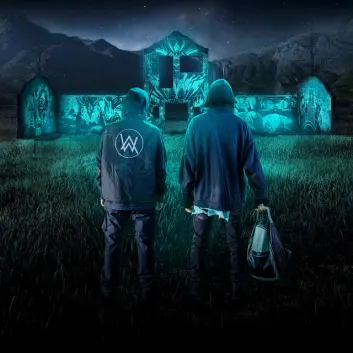 How Much is the Song Paradise by Alan Walker Worth? Royalty & Value Breakdown