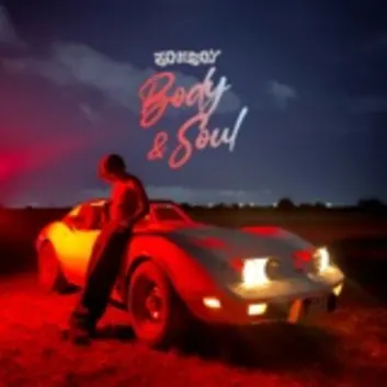 How Much is the Song Chicken, Spice & Curry by Joeboy Worth? Royalty & Value Breakdown