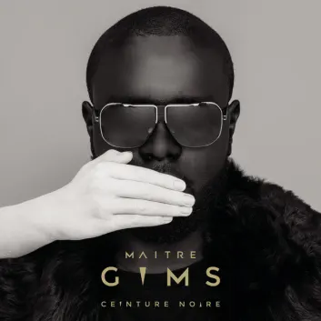 How Much is the Song La nuit c'est fait pour dormir by GIMS Worth? Royalty & Value Breakdown