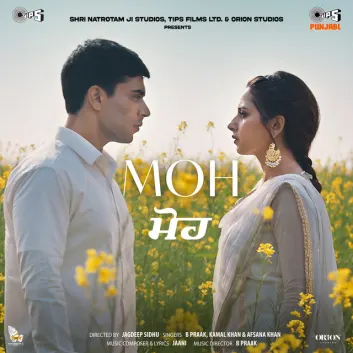 How Much is the Song Aulaad by Jaani Worth? Royalty & Value Breakdown