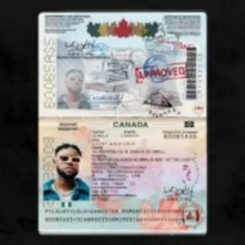 How Much is the Song CANADA by Lojay Worth? Royalty & Value Breakdown
