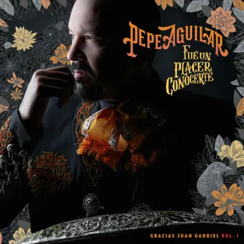 How Much is the Song Hasta Que Te Conocí by Pepe Aguilar Worth? Royalty & Value Breakdown