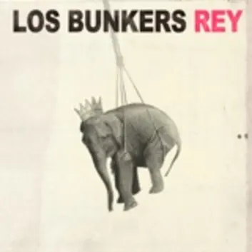 How Much is the Song Rey by Los Bunkers Worth? Royalty & Value Breakdown