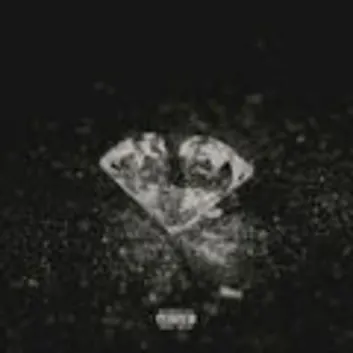 How Much is the Song Floor Seats (feat. 2 Chainz) by Jeezy Worth? Royalty & Value Breakdown