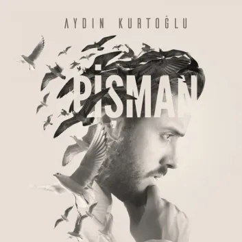 How Much is the Song Hayırlı Günler - Akustik Versiyon by Aydın Kurtoğlu Worth? Royalty & Value Breakdown