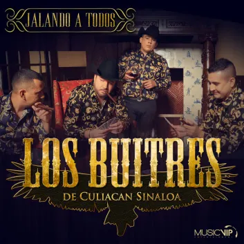 How Much is the Song Por Que Es Bien Bonito by Los Buitres De Culiacan Sinaloa Worth? Royalty & Value Breakdown