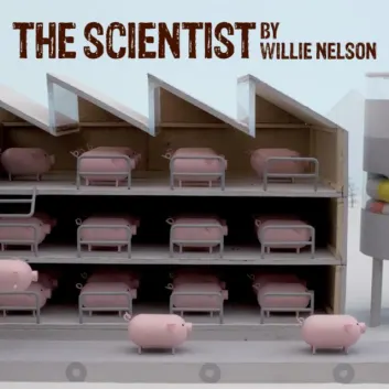 How Much is the Song The Scientist by Willie Nelson Worth? Royalty & Value Breakdown