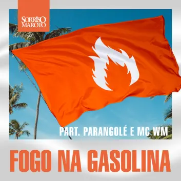 How Much is the Song Fogo na Gasolina - Ao Vivo by Sorriso Maroto Worth? Royalty & Value Breakdown