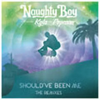 How Much is the Song Should've Been Me - Club Edit by Naughty Boy Worth? Royalty & Value Breakdown