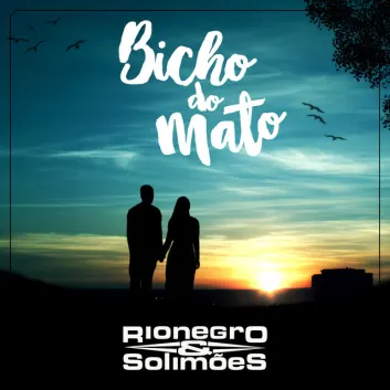 How Much is the Song Bicho do Mato by Rionegro & Solimões Worth? Royalty & Value Breakdown