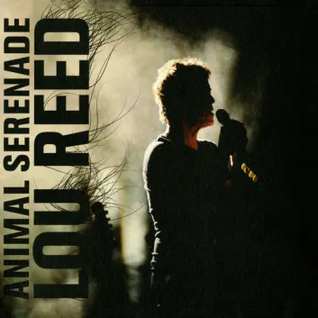 How Much is the Song All Tomorrow's Parties - Live by Lou Reed Worth? Royalty & Value Breakdown