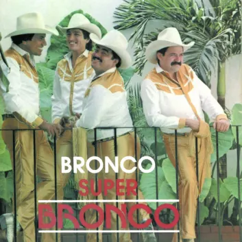 How Much is the Song Ni Quemando las Cobijas by Bronco Worth? Royalty & Value Breakdown