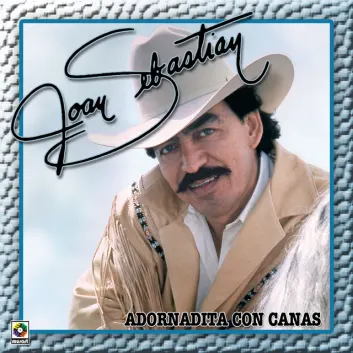 How Much is the Song Qué Bien Te Ves Enamorada by Joan Sebastian Worth? Royalty & Value Breakdown