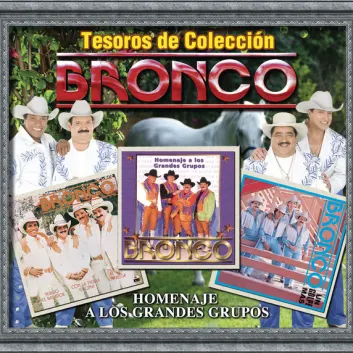 How Much is the Song Siempre Te Amaré (I Will Always Love You) by Bronco Worth? Royalty & Value Breakdown