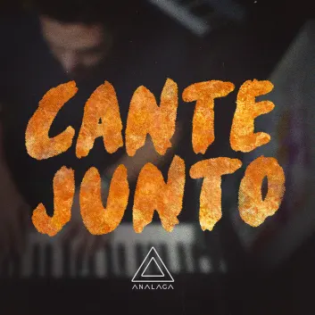 How Much is the Song Ana Júlia by Analaga Worth? Royalty & Value Breakdown