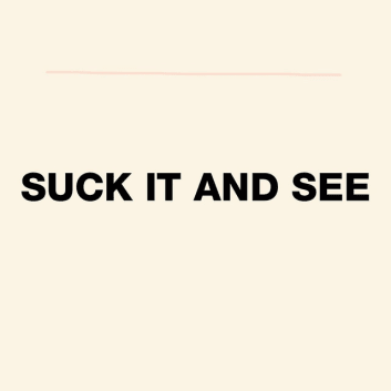 How Much is the Song Reckless Serenade by Arctic Monkeys Worth? Royalty & Value Breakdown