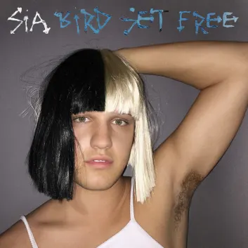 How Much is the Song Bird Set Free by Sia Worth? Royalty & Value Breakdown