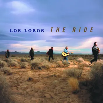 How Much is the Song Hurry Tomorrow - Original Version by Los Lobos Worth? Royalty & Value Breakdown