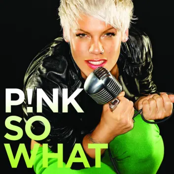 How Much is the Song Could've Had Everything by P!nk Worth? Royalty & Value Breakdown