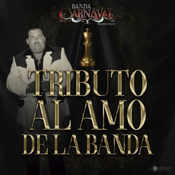 How Much is the Song Árboles De La Barranca by Banda Carnaval Worth? Royalty & Value Breakdown