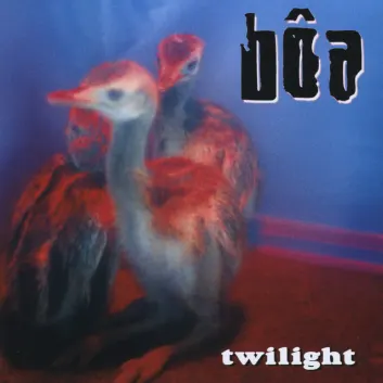 How Much is the Song Elephant by bôa Worth? Royalty & Value Breakdown